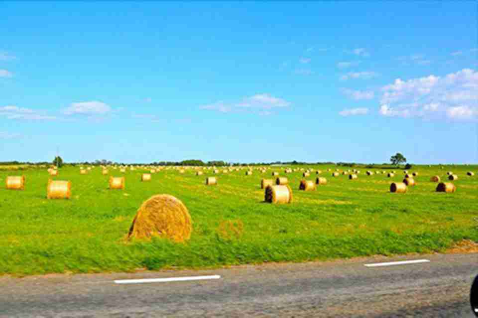 ���ϵķ羰�Եü�Ϊ����