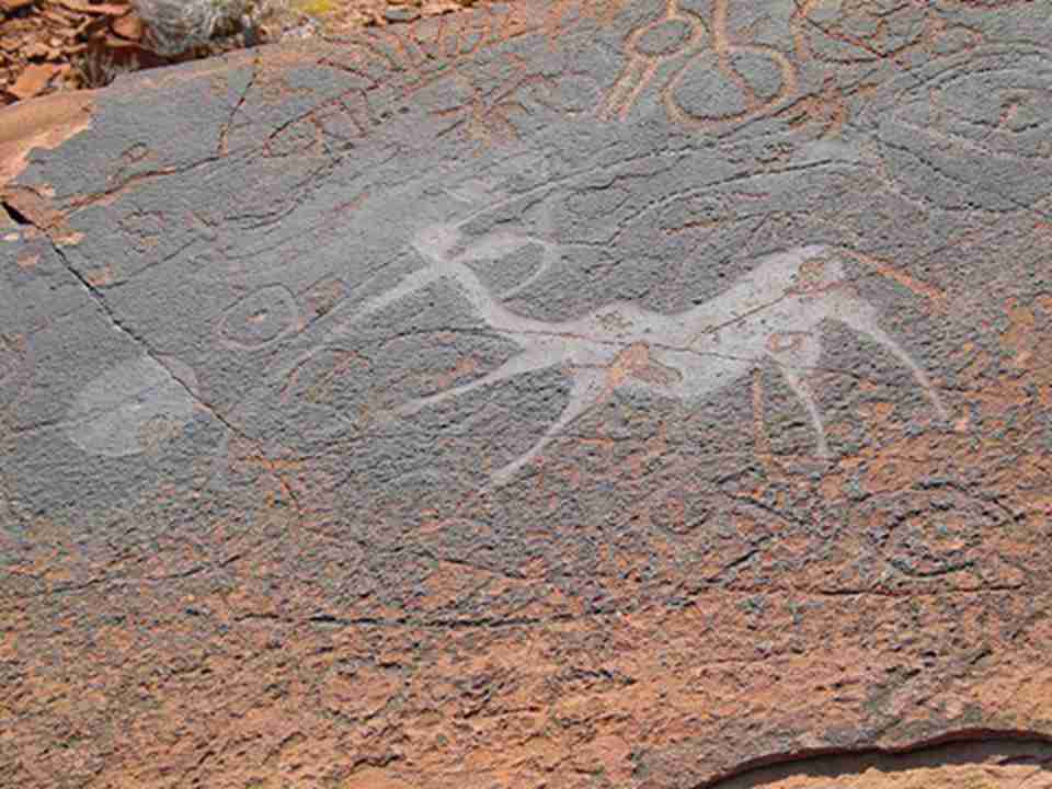 ���ָ������һ�