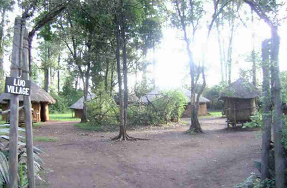 �׻��ϴ￨��ʥ���ǿ������غ�����11��������ɭ��