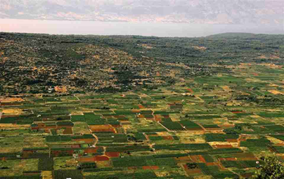 ����Ƭ���ֵ�ƽԭ�ϣ������չ��ũҵ���Ҫ����ֲ���������