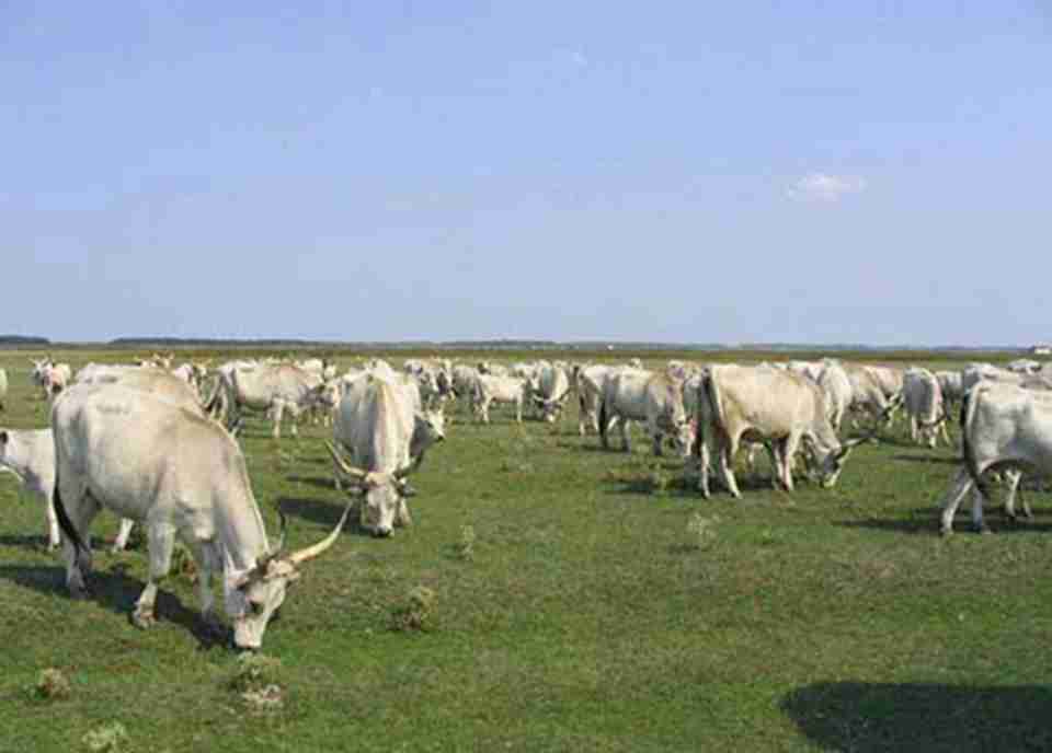 �����аͼ����ҹ�԰��λ��������������-�Ⱥ����ݺ�άʲ��