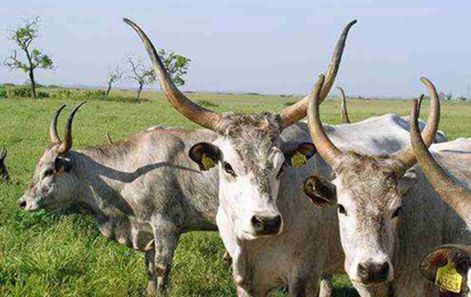 ��԰��ӵ�зḻ����̬�������ͣ��������ֲ����������Ϣ������