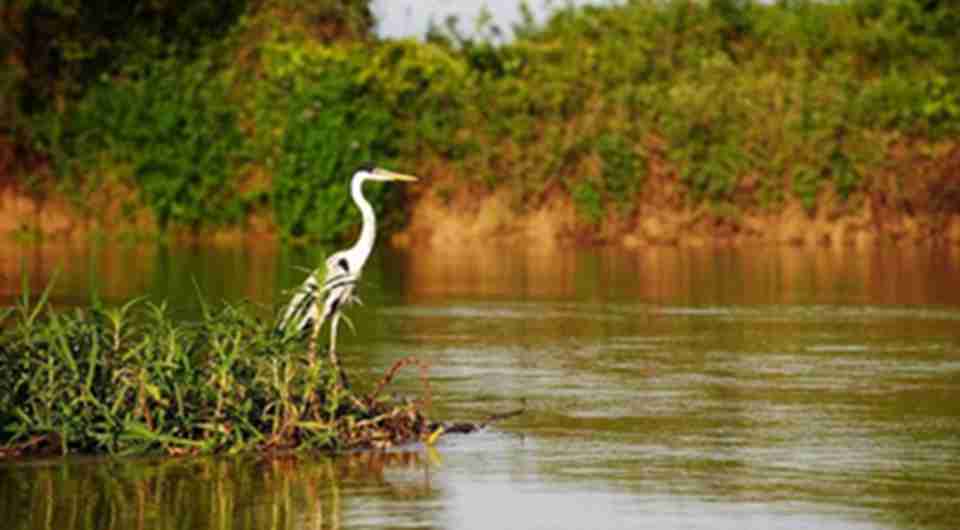 �����ɶ������������ַ���