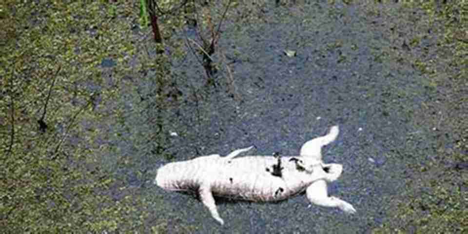 �������Ȼ�Ų�������ȴ�⵽���ص��ƻ�