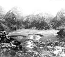 ͼ2���й�����������