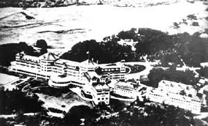 �������Ϲ����ҽ��ڻ���Ĳ��׶�ɭ�ֻ�ʢ��ɽ�ù�