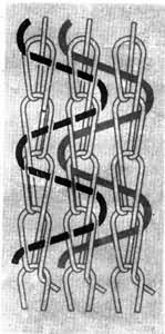 ͼ2�������γ��֯