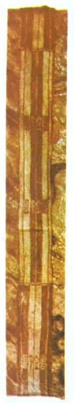 �����������塱����