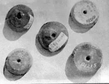 ͼ2��Ǯɽ�������ķ��֣���ʯ��ʱ����