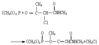 ��ʽ ����