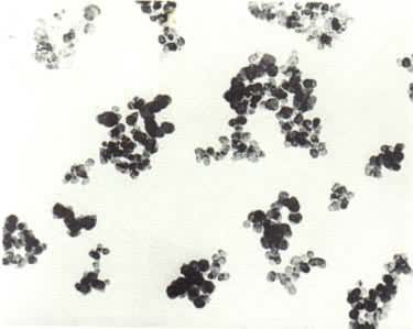 �۷�̿�ڣ�3�򱶵羵Ƭ