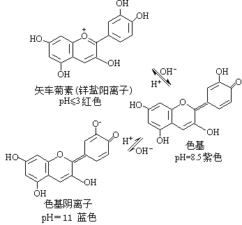 ��ʽ ����