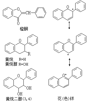 ��ʽ ����