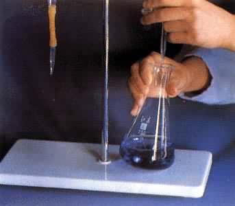 ͼ ��ϵζ������Ҷ���������ζ�������(��ָʾ��)���ȵ���ʱ