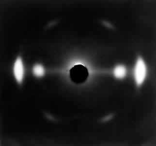 ͼ3 ��ά�صĿ���X������άͼ��