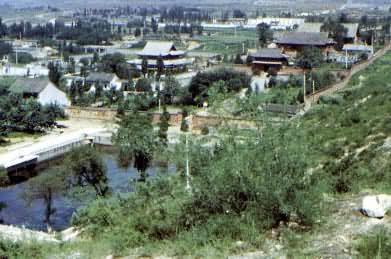 ɽ���鶴�ع�ʤ�����£����ж�ΪԪ������