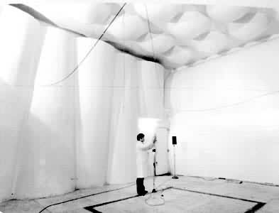 �������ھ�