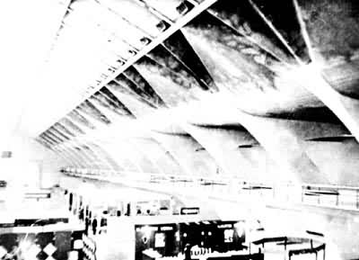 ����չ����B��