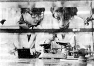 ����ʦ����ѧ��ѧϵѧ������ʵ��