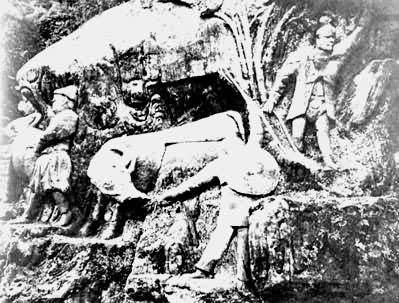 ��������ţ��̣����Σ�