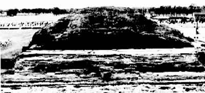 ������������̨�ż�