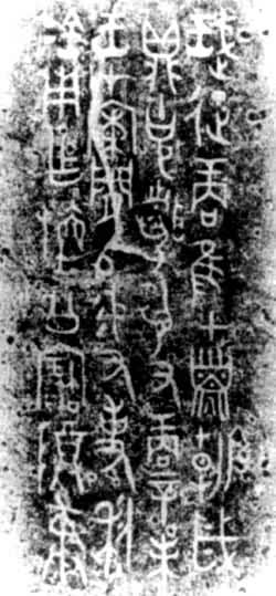 ����������Ƭ