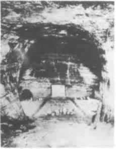 ��ʤĹ����