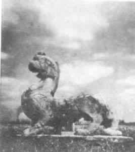 ʯ���롡����۾�����ʯ��