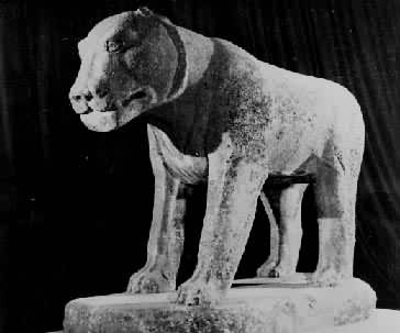 ������ʯ��