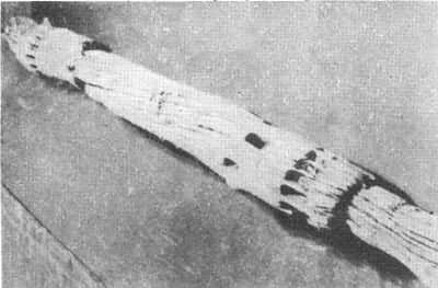 ͭ��ɽ�����������