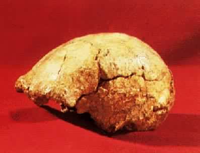 ������ͷ�ǻ�ʯ