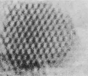 ͼ10����ԭ���ڣ�111������ƽ���ϵķֲ�