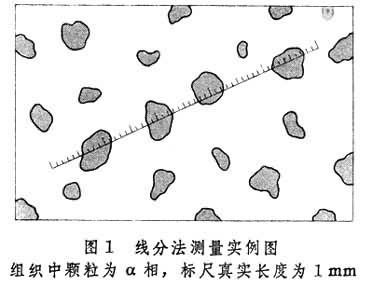 ͼ1