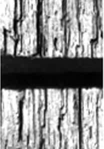 ͼ13����״�Ͽ�