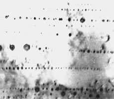 ͼ2��������˿��ֱ��1.25mm���еļ��ݷֲ���30000��2450������˻�2Сʱ