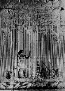 �����ۡ�