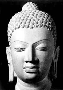 �Ŷ�ʽ����