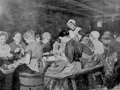 ����Ь������