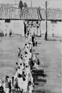 ����ѡ��