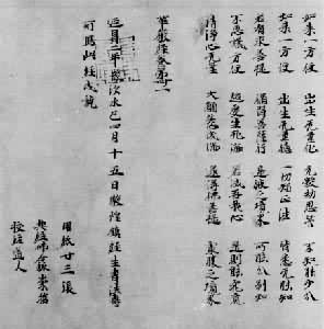 ������֮������������