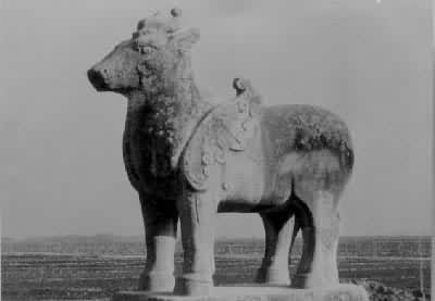 �ƴ�˳����¹֮һ