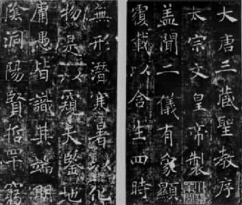 �ơ���������������ʥ���򱮡�