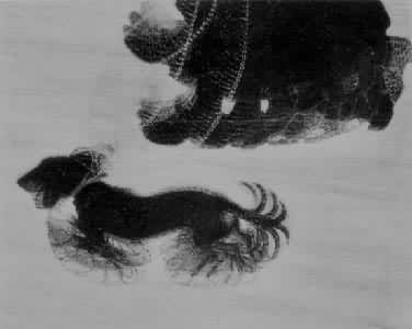 ��������˩��Ƥ���Ĺ���