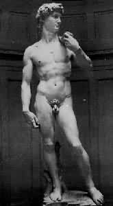 �׿������ޣ���������