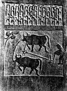 ������ţ������ʯ