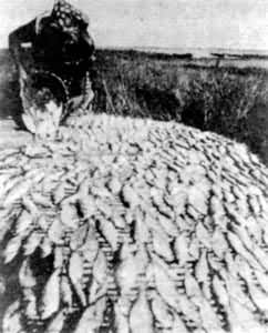 ��ά������ɹ���