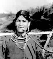 ���˵��������帾Ů