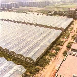 ռ����ʮĶ���й�ũ��Ժ������