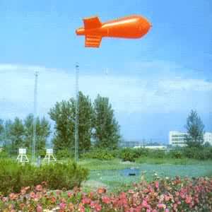 С��ϵ����ͧ��������˩�ڵ���ʳ��ϣ��ɲ�����ѡ���߶��ϵ�����Ҫ��ֵ