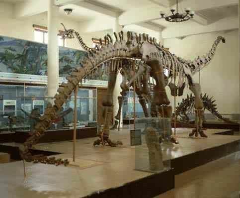 �ϴ�����Ϫ����ǰ��Ϊ�༬������